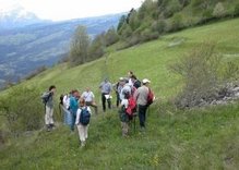 Dialog Natur ©A.Mazzetta