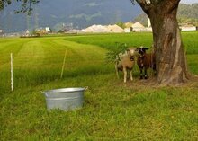 Gelände für den Glaruspark ©WWF GL