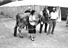Landwoche 1991_Übergabe des Biolandbau-Impulskataloges an den Kanton ©WWF GL