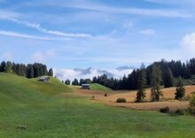 Moorlandschaft Furner Berg ©Brigitta Schatzmann
