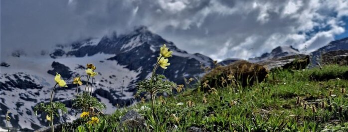 Berninapass ©A.Mazzetta