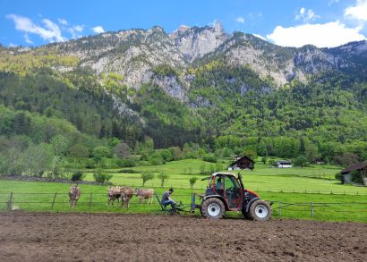 Projekt Teilen auf dem Acker ©KlimaGlarus