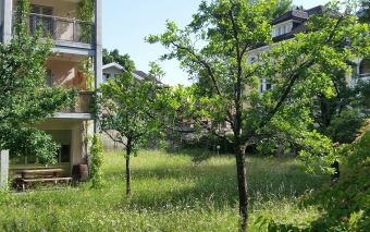 artenreiche Wiese mit Hochstammobstbäumen mitten in der Stadt ©A.Mazzetta