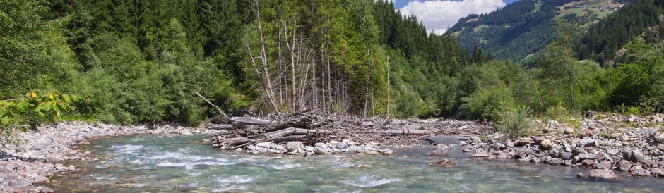 Glenner/Glogn mit seiner national geschützten Aue Gatgs ©Lukas Bammatter