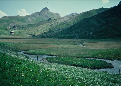 national geschütztes Flachmoor im Val Madris ©Peter Lüthi
