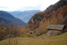 c.Chatrina Signorell